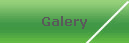 Galery